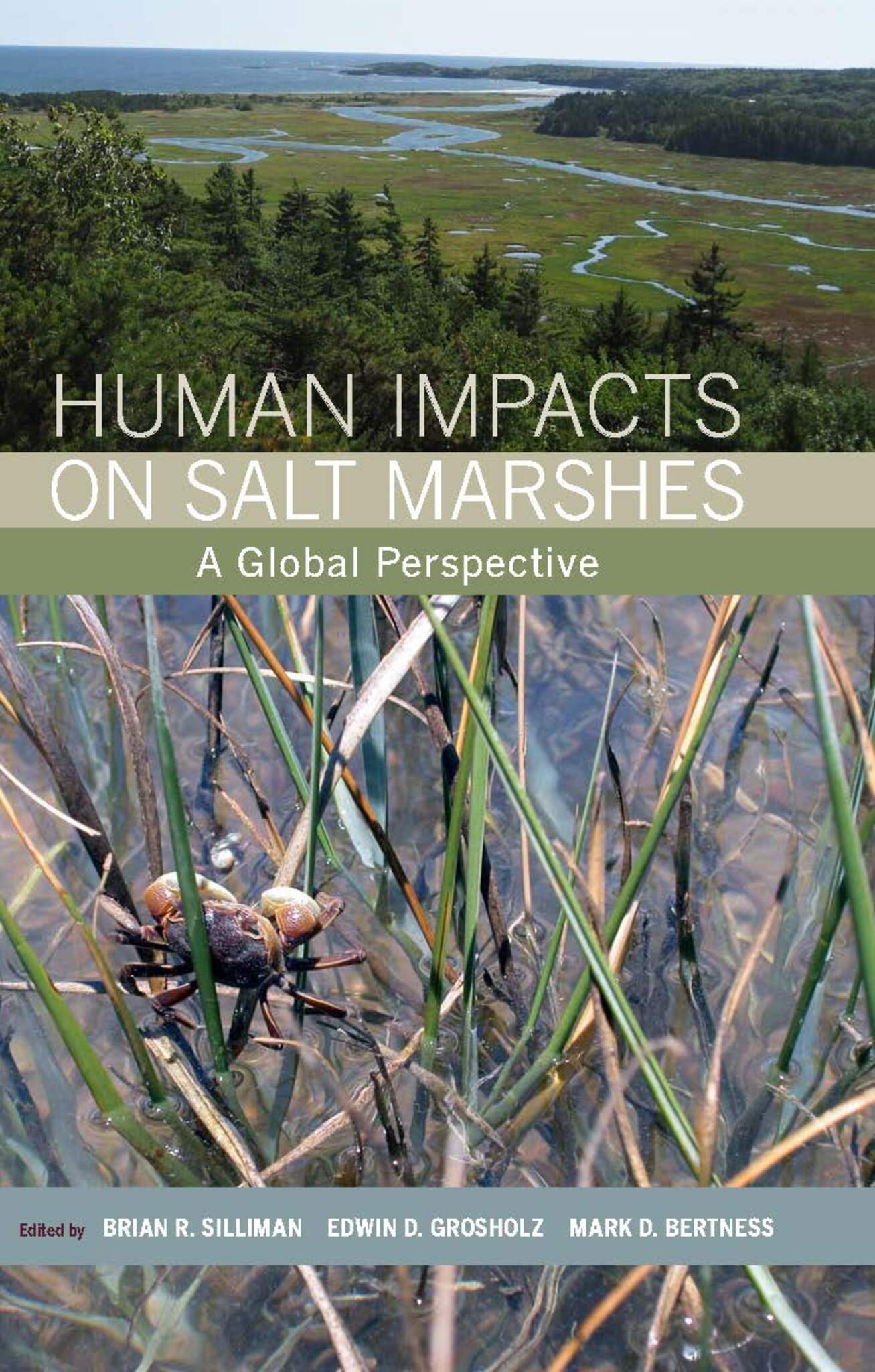 Human Impacts on Salt Marshes